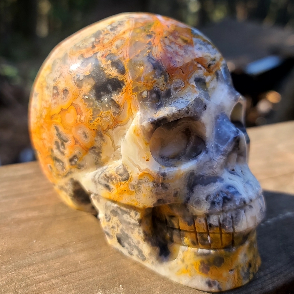 Vibrant Coral Jasper handcarved crystal skull
